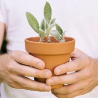 Person holding pot
