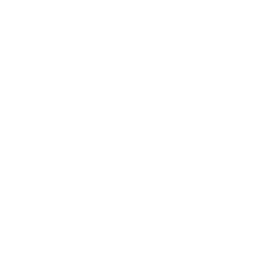 globe icon