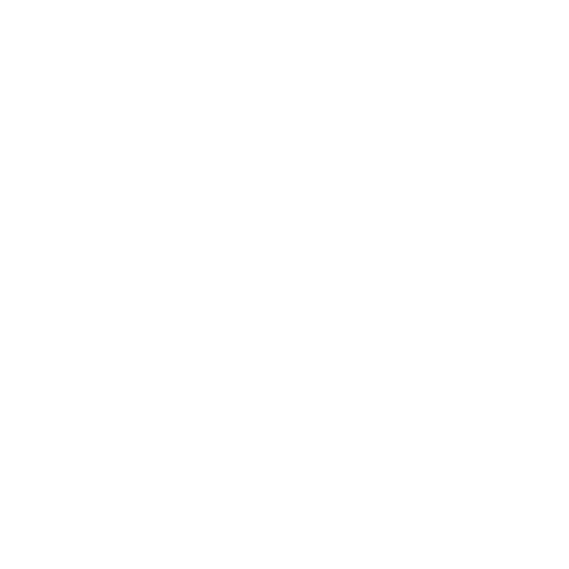 icon magnifying glass